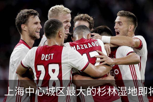 上海中心城区最大的杉林湿地即将进入最佳观赏期，记者实探
