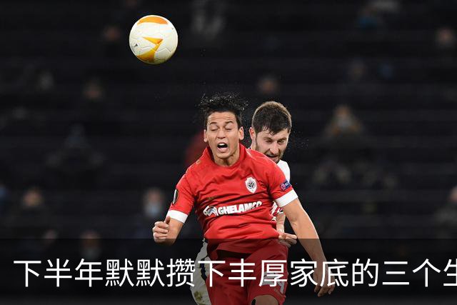 下半年默默攒下丰厚家底的三个生肖，计划顺利收尾，收入翻一番