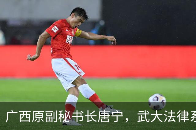 广西原副秘书长唐宁，武大法律系出身，最懂法的人越了线
