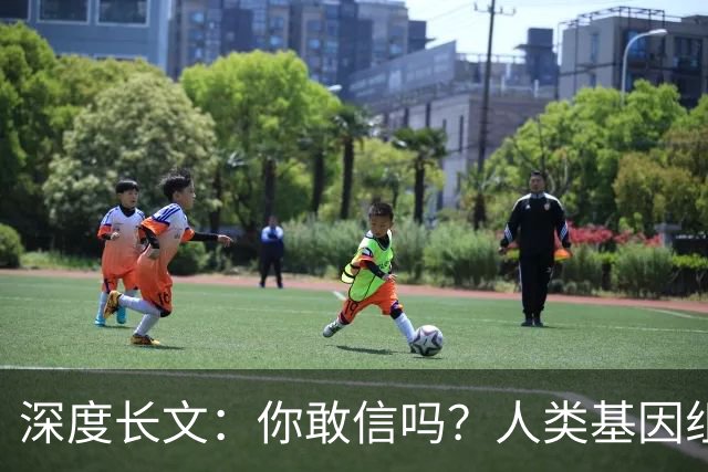 深度长文：你敢信吗？人类基因组就是个跑了38亿年没人敢重构的屎山代码