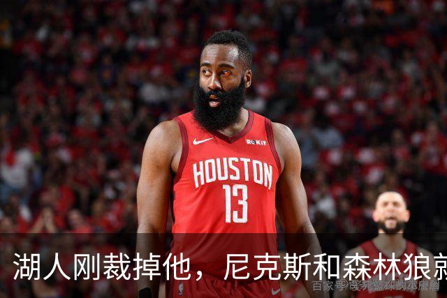 湖人刚裁掉他，尼克斯和森林狼就盯上了