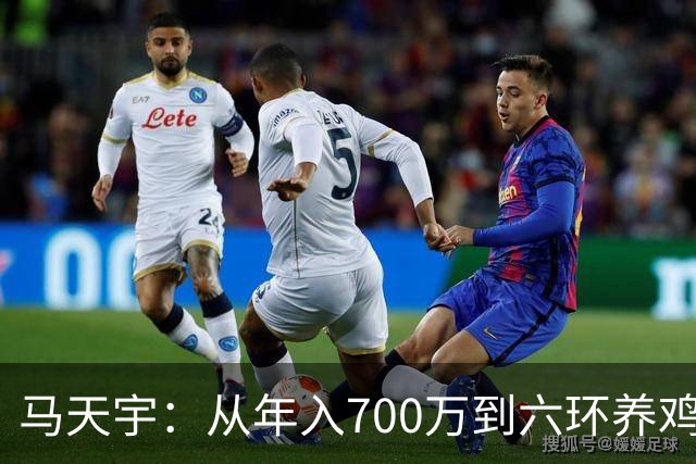 马天宇：从年入700万到六环养鸡，为何把做自己放在做艺人前面？